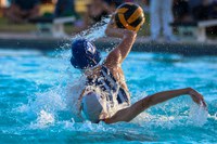 Water Polo